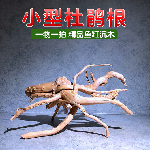 Natural sunken wood azalea root fish tank landscaping material habitat for fish and shrimp to avoid lizards climbing and pet arch bridge ornaments Selected medium-sized azalea roots 18-25 cm 2 pieces Selected azalea root sunken wood