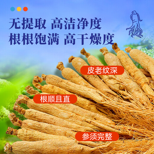 水长东 人参100克10支 吉林长白山人参 滋补送父母 集安边条参煲汤泡酒