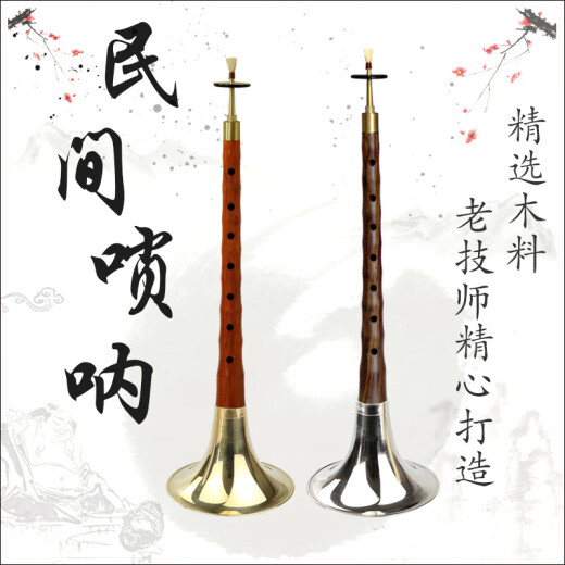 管艺 红木乌木唢呐乐器全套唢呐民族乐器成人初学演奏锁啦喇叭 红木黄碗D调【10种赠品】