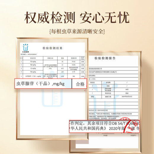 紫蓝花海冬虫夏草 3根/g 20克 约60根新干虫草礼盒营养品【健康礼盒】