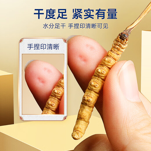 Фиолетовый и синий цветочный море Cordyceps sinensis Первый сушеный Cordyceps Тоник для праздничного подарочного подарочного ящика 3 штуки/г 50 грамм [отобранное и количество количества]