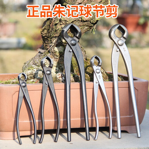 朱记球节剪球形剪朱记盆景工具球剪球钳朱记修枝剪不锈钢 C12210mm不锈钢款