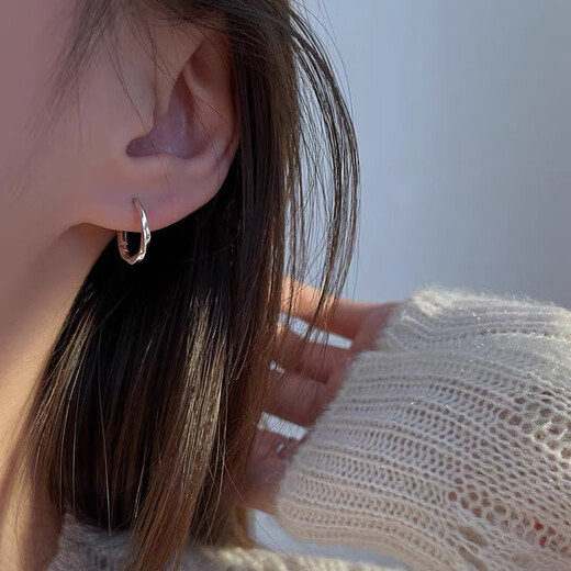 Bai Qixin earrings women's s925 silver needle niche design earrings, trendy and high-end earrings, pierced ears, teacher's day gift, light luxury earrings