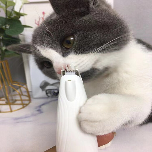 Laiwang Brothers cat foot shaver pet dog shaver partial trimming electric clipper LED light PC-280 white