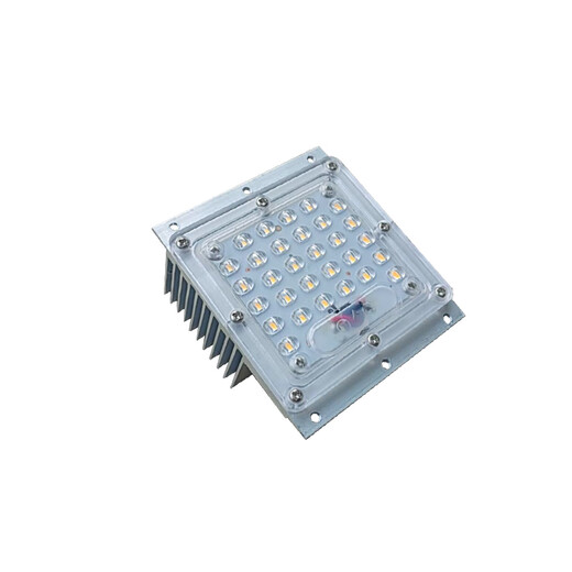 XMSJ定制景观小区D路灯模组光源配件铝模块灯组30W60瓦带驱动电源220V 30W白光120120mm透镜9898mm