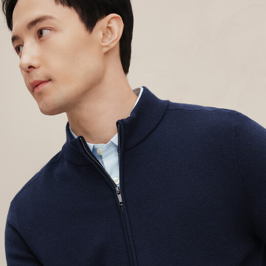 EMZ Ordos 100% mercerized Australian wool new autumn and winter pure wool knitted cardigan men's sweater jacket