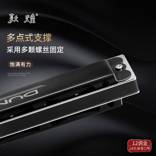 Dunhuang 24-hole monophonic harmonica for beginners with first-hole single-row C-tune harmonica for adult professional playing instrument Y2411 24-hole C-tune matte black (recommended by beginners)