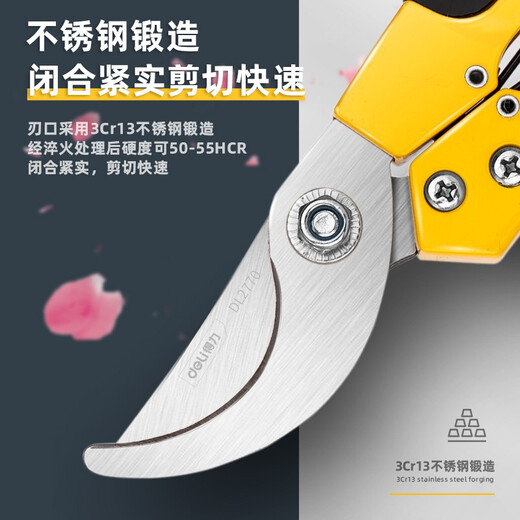 Deli fruit tree pruning scissors, garden flower pruners, branch scissors, thick flower scissors, gardening scissors tools, 8-inch stainless steel, curved mouth flower and tree shears DL2770