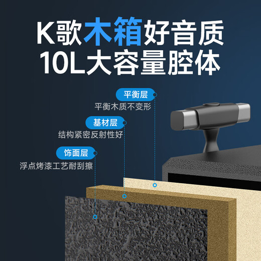 SANSUI TE12 outdoor performance high-power subwoofer mobile trolley K singing singing all-in-one machine Bluetooth speaker with wireless microphone portable square dance speaker SANSUI TE06 high-power 8-inch bass + single microphone