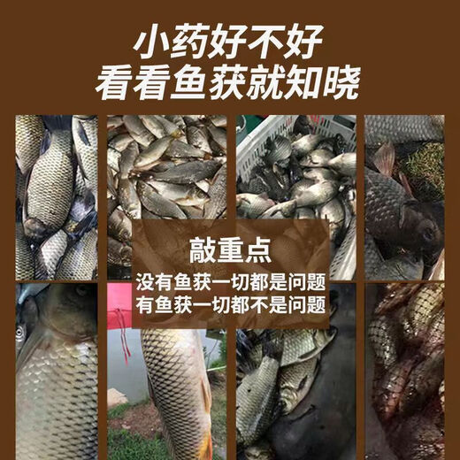 Deng Gang recommends Thousand Miles of Thousandthousand Flowers Fishing Small Medicine Wild Fishing Black Pit Crucian Carp, Carp, Grass Carp Opening Agent, Bait Nest Material to Lure Fish. Deng Gang's same style Concentrated Thousand Miles of Fragrance_1 bottle of Thousand Miles of Fragrance