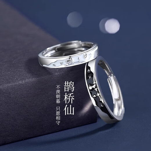 MZMZ platinum couple ring PT950 platinum adjustable pair of rings for engagement, proposal, Valentine's Day, birthday gift for girlfriend, light luxury model - pair of rings (no engraving)