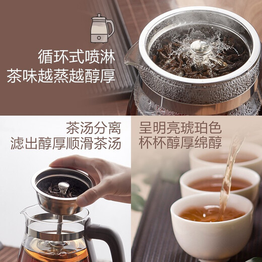 Bear Tea Maker Steam Spray Type Health Kettle Thickened Glass Tea Maker Black Tea Office Tea Steamer Mini Electric Kettle Insulation Small Tea Stove 1L Gift Gift ZCQ-A10X1 Insulation Spray Type Tea Maker 1L
