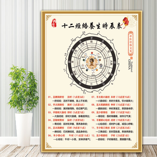 Clceys Krankheit Schritte Stufen Poster Bild Chinesisches Medizin Gesundheitszentrum Dekoration Malerei Gesundheitsversorgung neun Arten von Wandaufklebern Moxibustion 3 PP Kleber 90*12048 Zoll