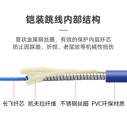 Armored fiber optic jumper SC to LC-FC-ST rat-proof tensile single-mode single-core 10M/30/50m pigtail extension Telecom-grade armored single-mode single-core SC-SC 5m