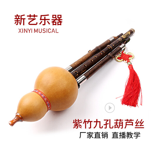 新艺乐器 紫竹九孔9孔葫芦丝乐器 紫竹演奏型降B调C调宽音域 【天然葫芦+紫竹9孔音管】G调