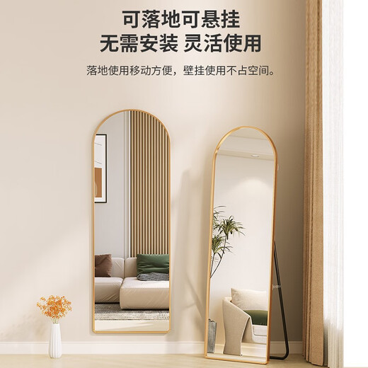 哈骆顿（HALODN） 穿衣镜  全身镜 贴墙落地镜浴室镜试衣镜卧室挂墙试衣镜家用镜子 160*50金色框【落地+壁挂】弧形