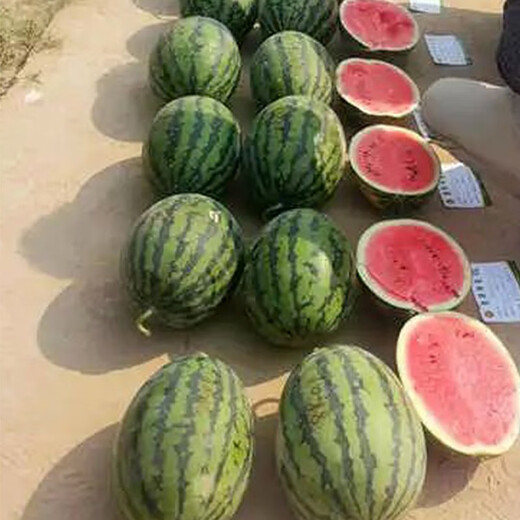 Jingyan watermelon seeds super sweet small watermelon Jingxin 8424 rock sugar unicorn melon Academy of Agricultural Sciences watermelon seedlings lazy melon seeds Jingmei 10K02 about 400 capsules