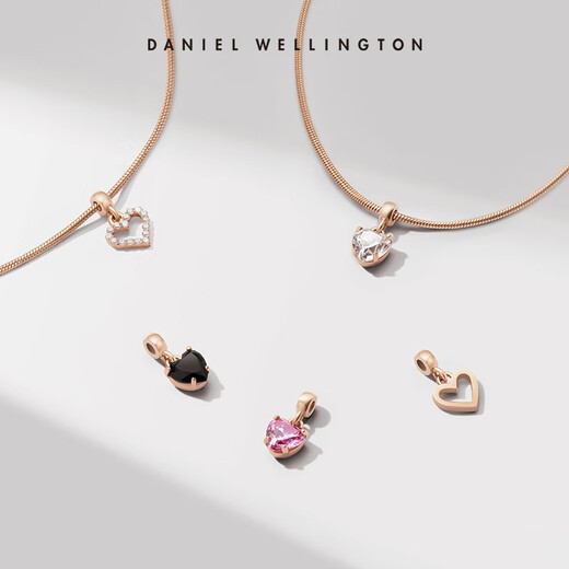 Daniel Wellington DW Pendant Secret Word Series Love Pendant Ball Beads DIY Gift Personalized Simple Birthday Gift Hollow Stone Love Pendant DW00400427