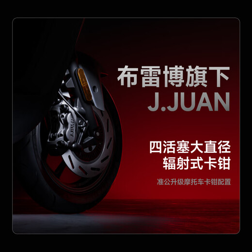 Ninebot electric vehicle E300P MK2 smart electric motorcycle high-performance long-range electric motorcycle Pick up in store Pick the color in the store