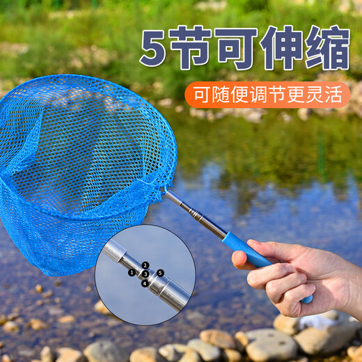 Zhenyou (Grsaed) Clip pour enfants Set Butterfly attraper insecte filet petit poisson et crevettes net punch kid