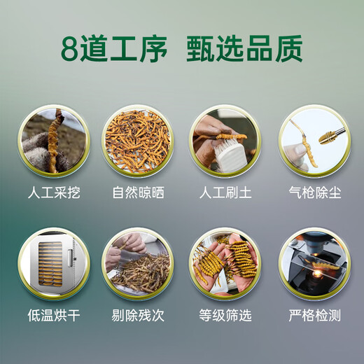 Zangxitang cordyceps sinensis Большая сломанная трава 20 г Пакет выбран сломанный cordyceps Высокоэлемовый кордицепс питательный подарок