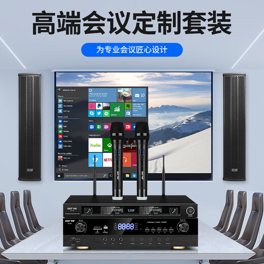 先科会议室音响设备全套装组合家庭影院KTV音乐学校培训专用系统蓝牙功放麦克风一体机壁挂音箱音柱 【两120W音柱】两话筒（推荐100-160平）