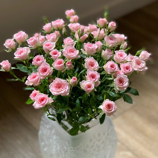 5 small and exquisite multi-headed roses in random colors