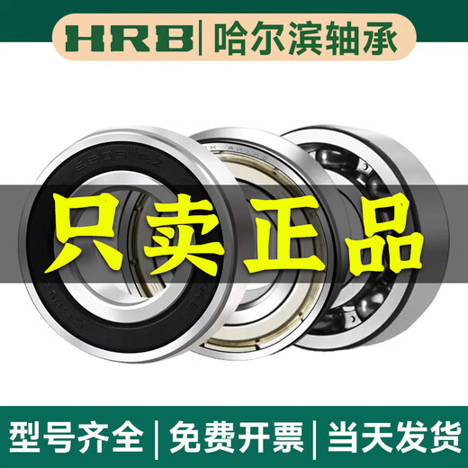 Hrb Harbin Roining 6200 6201 6202 6203 6204 6205 6206 ZZ Z 2RS 2RZ 6205-2RZ [Cubierta de pegamento]