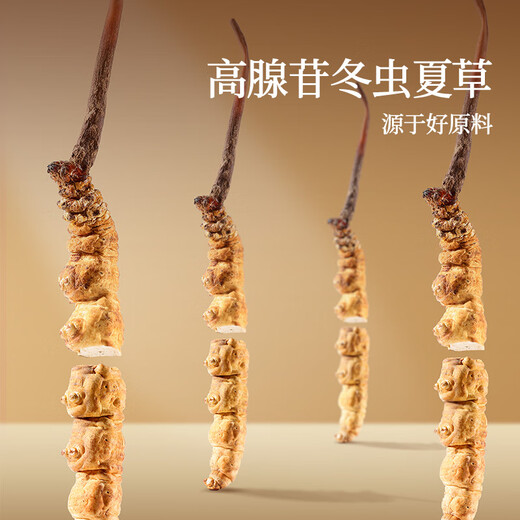 同仁堂品牌冬虫夏草10g断草自用高档补礼品高端礼物送父母长辈老人北京