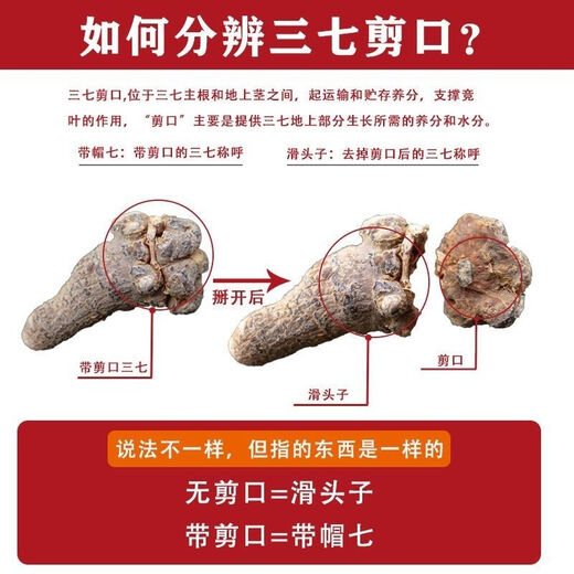 文山精选三七头正宗三七正品云南春三七20头30头田七无剪口滑头 【箹效王】10头精选三七500g 发整个（需打粉切片请留言）