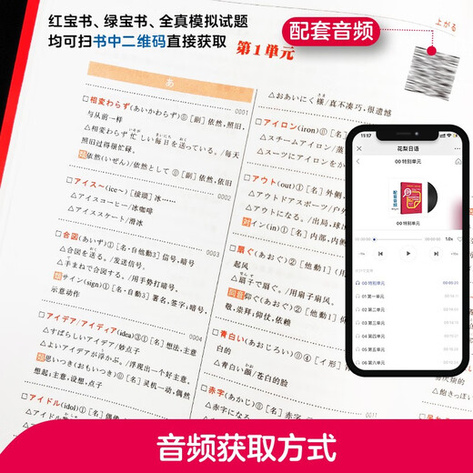 Japanese Red and Blue Book Series Red and Blue Book New Japanese Language Proficiency Test N2 Set Grammar and Grammar Text and Vocabulary (Detailed Explanation + Practice) (set of 2 volumes in total) Red and Blue Book Free Audio
