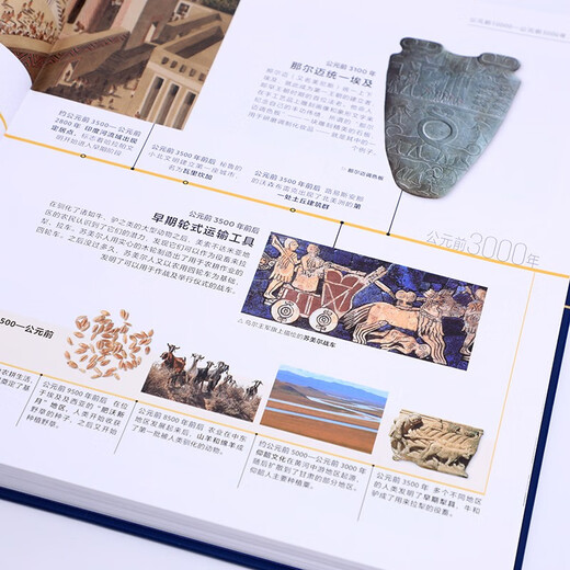 DK时间线上的全球史 全家共读的家庭藏书 DK出品 时间线 人类史 全球史 新视角 人类简史 世界史 大事件 入门 中信出版社