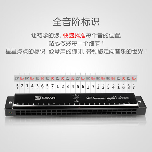天鹅（SWAN）口琴24孔复音C调初学者学生儿童成人自学入门开学季礼物 24孔C调雅典黑