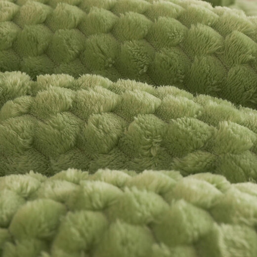 Arctic velvet quilt core thickened to keep warm lamb velvet winter quilt student dormitory single quilt plus double home cover quilt beautiful - bean green [double-sided velvet quilt] 150x200cm6Jin [Jin equals 0.5 kg] (winter quilt)