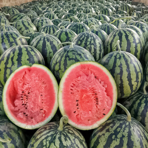 Shouhe Thin-skinned Sweet Watermelon Seeds Autumn Fruit Seeds Weiyu Shouyi Sweet King Watermelon Seeds 30 pieces * 2 bags