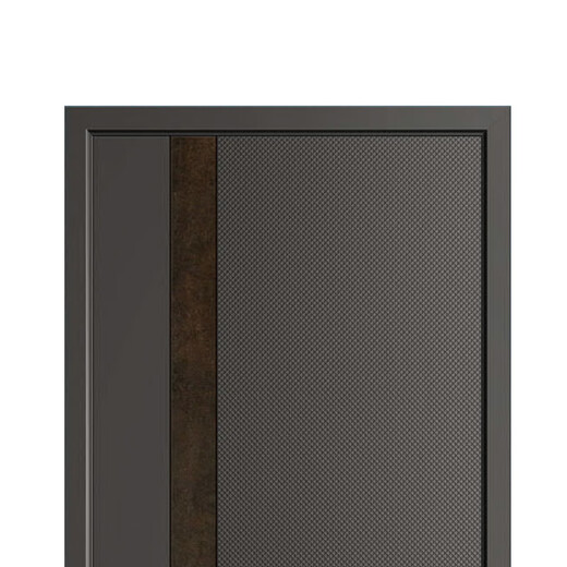 帝卡西DKX-喜玛拉雅2050*960防盗门安全门入户门智能门轻奢户门