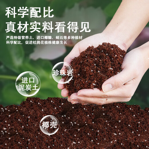 Devodo azalea special nutrient soil 15L gardening green plant potted flower growing soil vegetable soil organic plant material planting soil