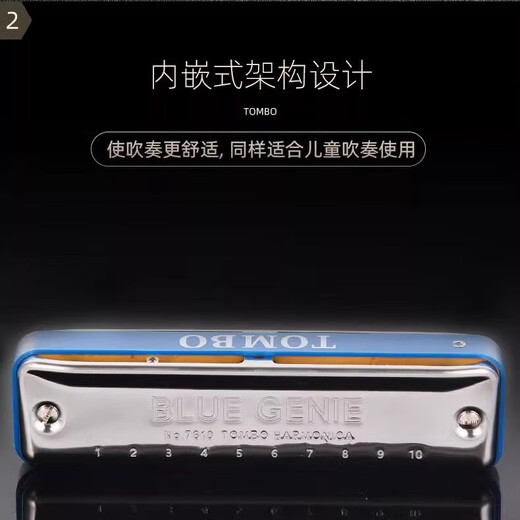 通宝日本通宝口琴布鲁斯十孔蓝调paddy音阶C调成人初学演奏级乐器7610 10孔G调
