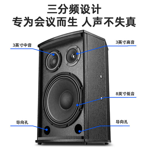 先科会议室音响套装组合8英寸家庭KTV背景培训专用麦克风设备蓝牙功放壁挂音箱【厂直版】 【两8吋音响套装】两话筒两鹅颈(50-120平)