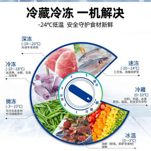Xingxing (Xingx) Freezer 518 congélateur commercial Réfrigération de réfrigération de grande capacité Réfrigération horizontale à température à température à température fraîche Freinteur de gardien de fraîche