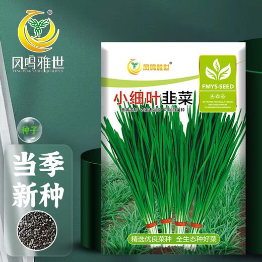 Fengming Yashi Shandong fine-leaf leek farmhouse old variety leek family balcony four-season vegetables small fine-leaf leek seeds 10g