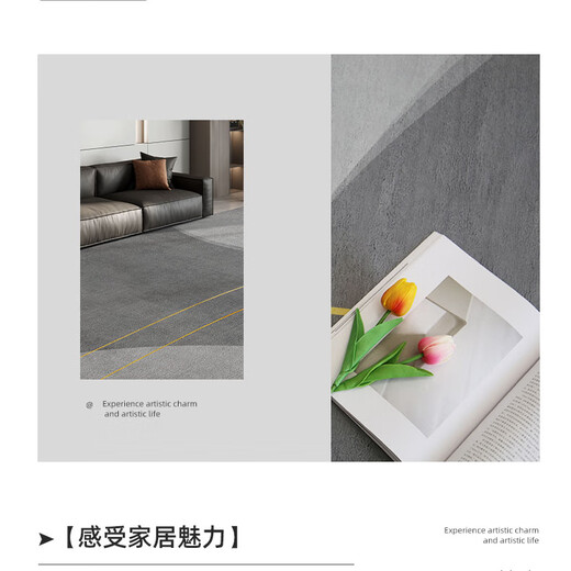 
CERNI German carpet living room new light luxury high-end sofa coffee table blanket gray thickened erasable waterproof carpet Modern 12172 140*200CM