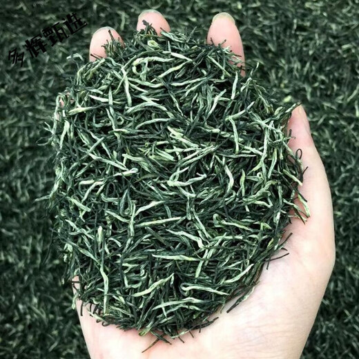 Wei Ting 23 New Tea Xinyang Maojian Green Tea Mingqian High Mountain Tea Young Buds Yunwu Tea Strong Fragrance Handmade Maojian Tea 500 grams is 1 Jin Jin is equal to 0.5 kilograms