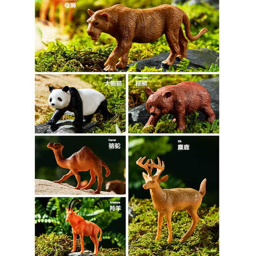 Teddy Shiguang Children's Simulation Animal Model Toys Boys and Girls Safari Farm Stores 16 Packs of Birthday Gifts