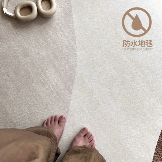 Budis carpet living room carpet bedroom coffee table sofa blanket can be customized Nordic simple modern full-cover thick anti-slip mat cream line popular hot style 200*300CM stain-resistant and anti-static