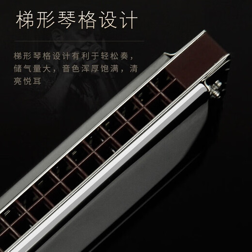 
Swan Imported Chord 28-hole Polyphonic Accent Harmonic Advanced Adult Professional Performance Grade Beginners 28-hole C-tune Golden Polyphonic Performance Grade