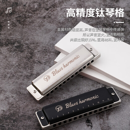 雁鹏丽声高档初学者十二孔树脂格布鲁斯口琴低音加faLa 12孔 红色 C调（初学者专用）