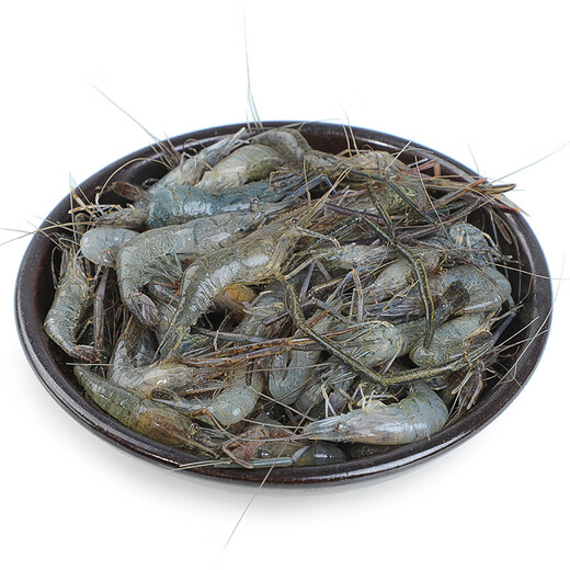 Fresh river shrimp 200g/portion