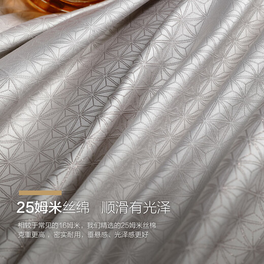 水星家纺床上四件套 桑蚕丝真丝棉面料 奢华色织大提花 被套床单枕套 奢·净明光 1.8米床 床单款 （被套220*240cm）
