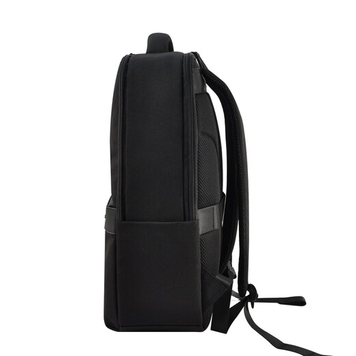 Diplomat diplomat backpack, business trip commuter computer backpack DS-14105L